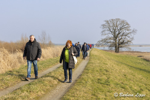 Lenzen-Karneval-2025-BLippe-4