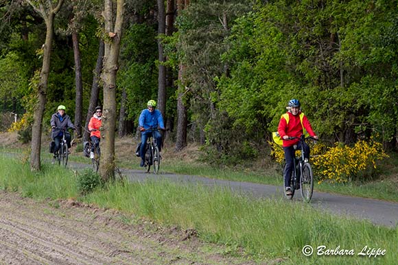 GSV Radwandertag 2025 BLippe Wald