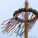 Maibaum MV 2025 BLippe EF