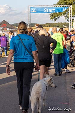 24h Lauf 2025 BLippe L15