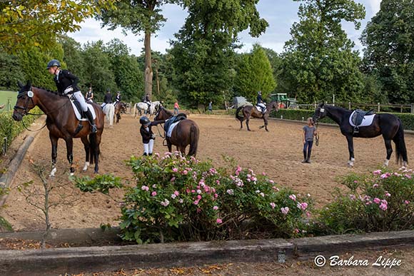 RFV Herbstturnier 2025 BLippe B2