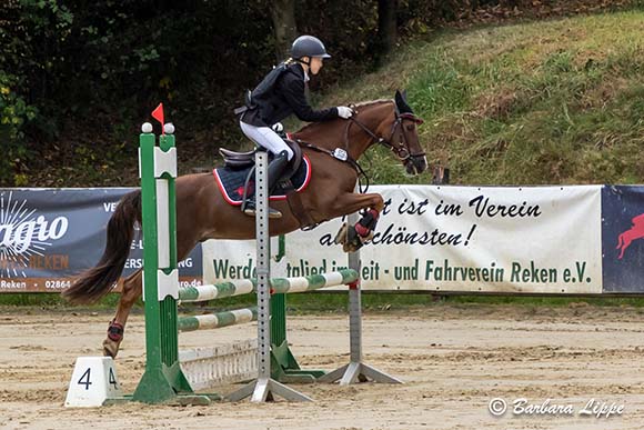 RFV Herbstturnier 2025 BLippe B6