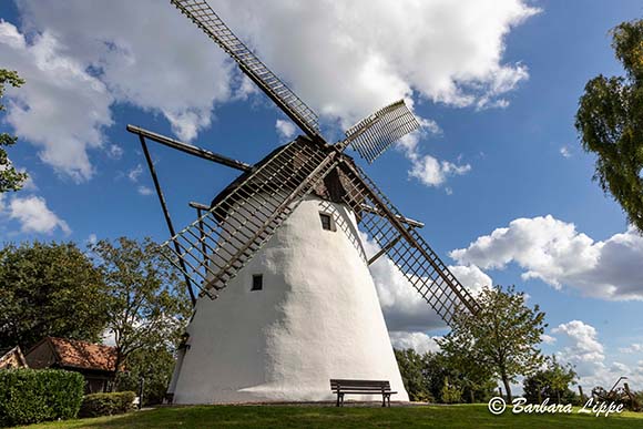 Tdo Denkmals 2025 BLippe Windmuhle